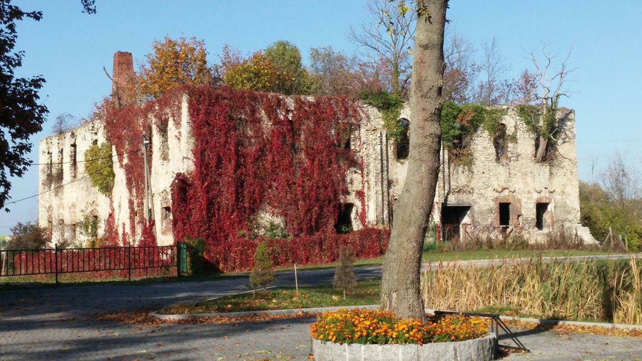 Palac Lucja Bb Zakrzów Eksteriør bilde