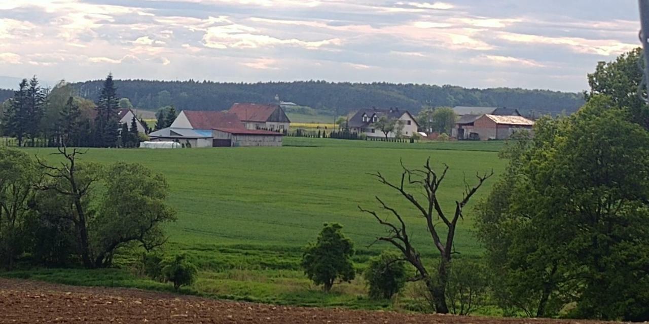 Palac Lucja Bb Zakrzów Eksteriør bilde